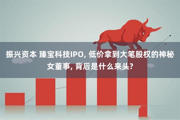 振兴资本 臻宝科技IPO, 低价拿到大笔股权的神秘女董事, 背后是什么来头?