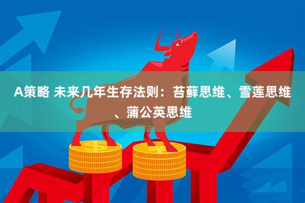 A策略 未来几年生存法则：苔藓思维、雪莲思维、蒲公英思维