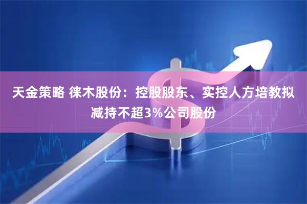 天金策略 徕木股份:控股股东、实控人方培教拟减持不超3%公司股份