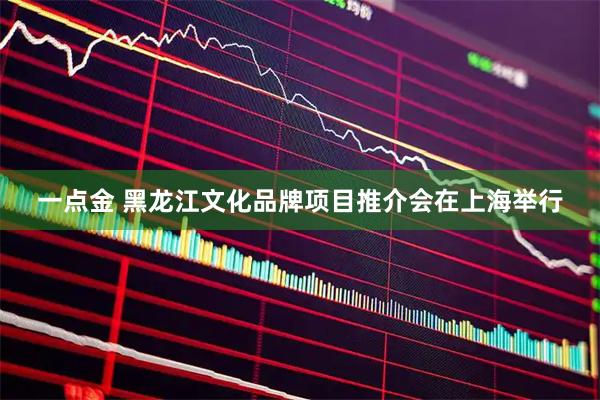一点金 黑龙江文化品牌项目推介会在上海举行