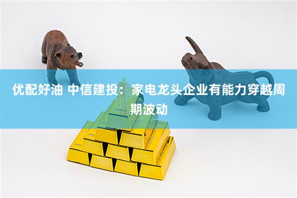 优配好油 中信建投：家电龙头企业有能力穿越周期波动